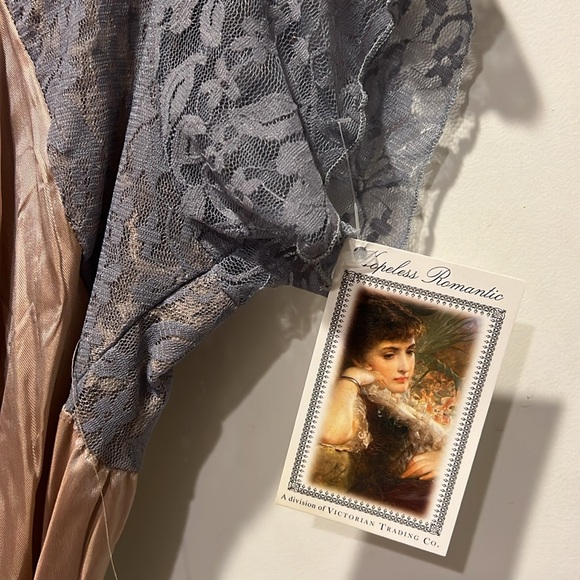 Elegant Lace and Satin Dress by Hopeless Romantic size Large NWT - Picture 4 of 6